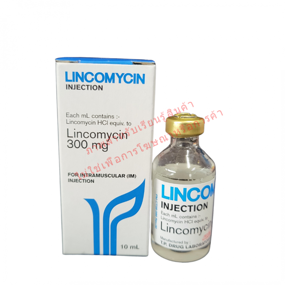 LINCOMYCIN Inj.TP ขวด 10 ml 300 mg